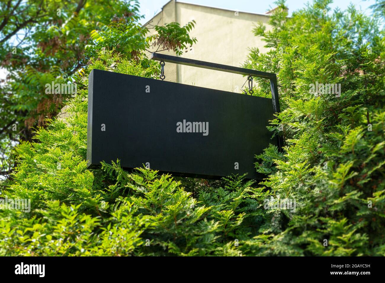 Segno vuoto dell'azienda circondato da alberi per mockup di branding del logo Foto Stock