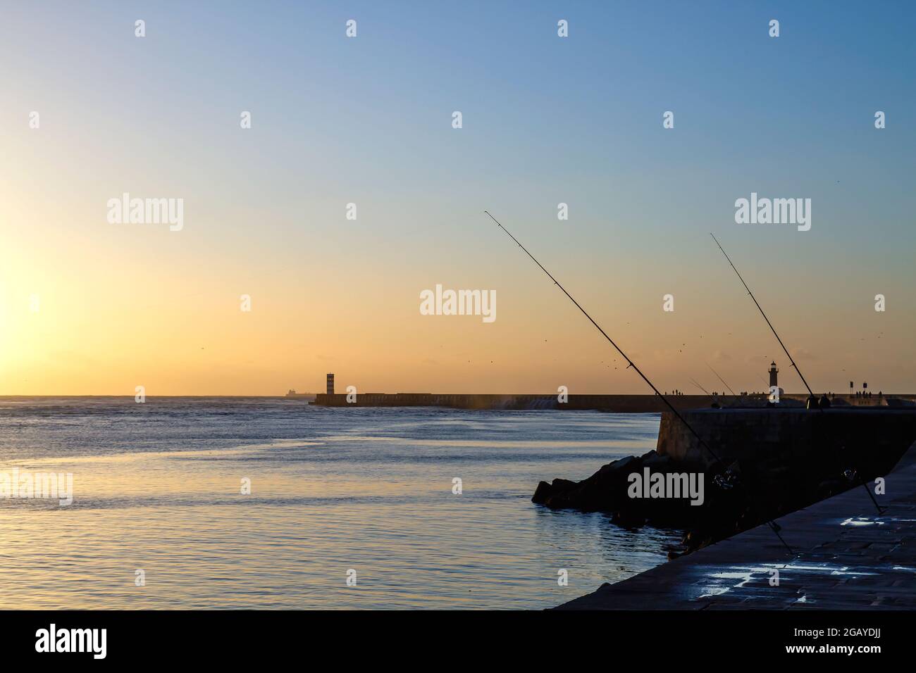 Canne da pesca nella costa atlantica portoghese Foto Stock