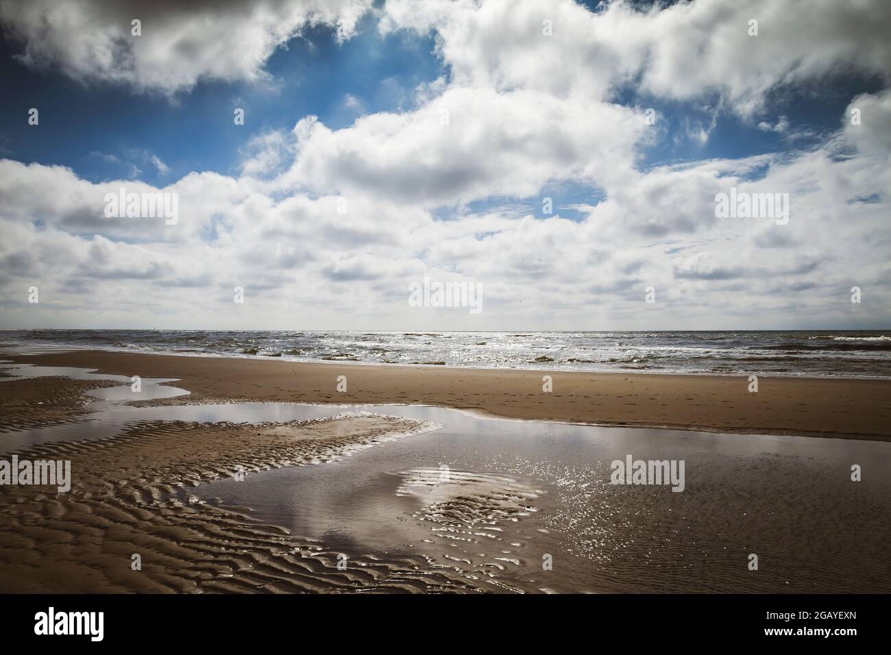 Spiaggia di sabbia nel Parco Nazionale di Dunien van Texel, Mare del Nord, Olanda Foto Stock