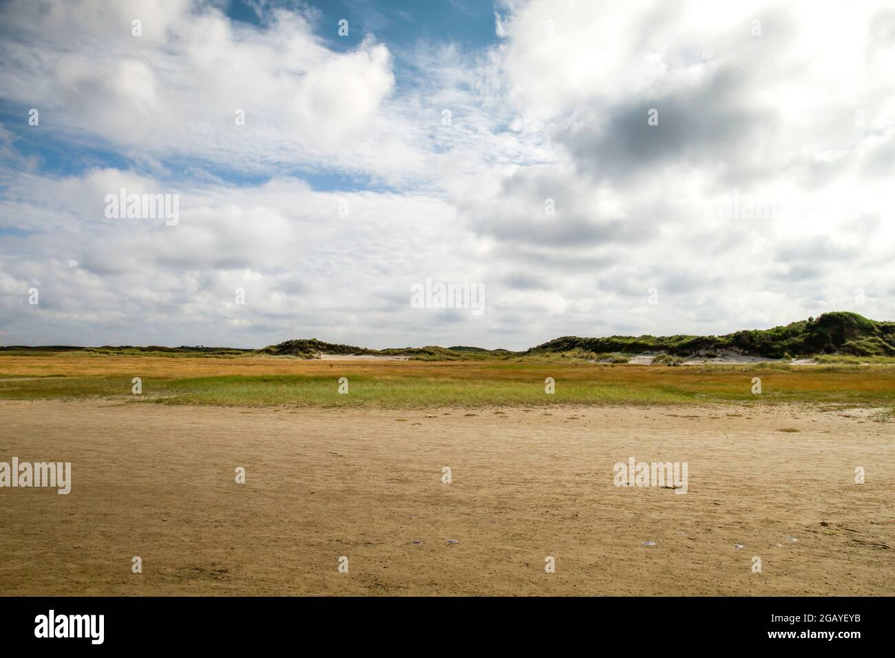 Riserva naturale de Slufter nell'isola di Texel, Olanda del Nord, Paesi Bassi Foto Stock
