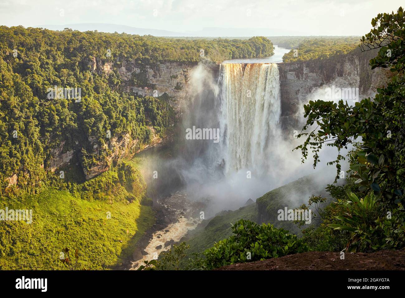 Potaro River Kaitour Falls Kieteur National Park in Guyana Sud America Foto Stock