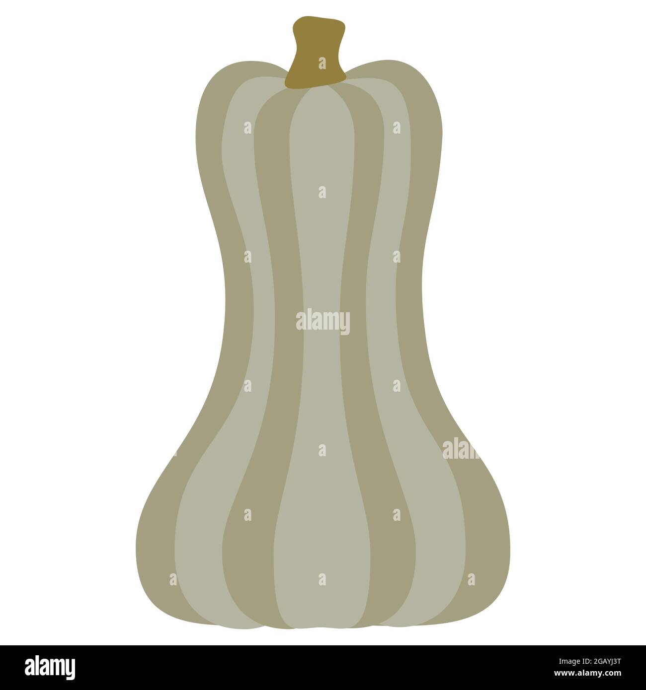 White Long Pumpkin Gourd per il giorno del Ringraziamento o Halloween disegno vettore isolato illustrazione su sfondo bianco Illustrazione Vettoriale