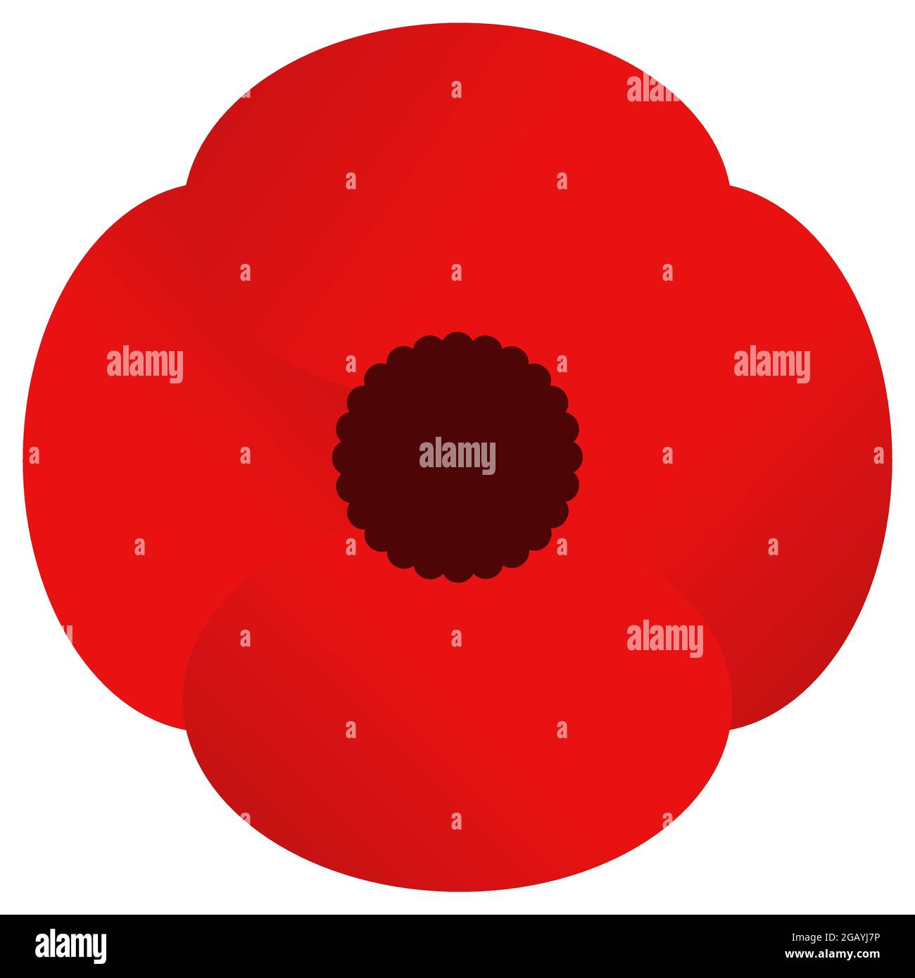 Papavero rosso. Simbolo di memoria. Elementi di design per la Giornata della memoria e Anzac Day. Illustrazione vettoriale. Isolato su sfondo bianco Illustrazione Vettoriale