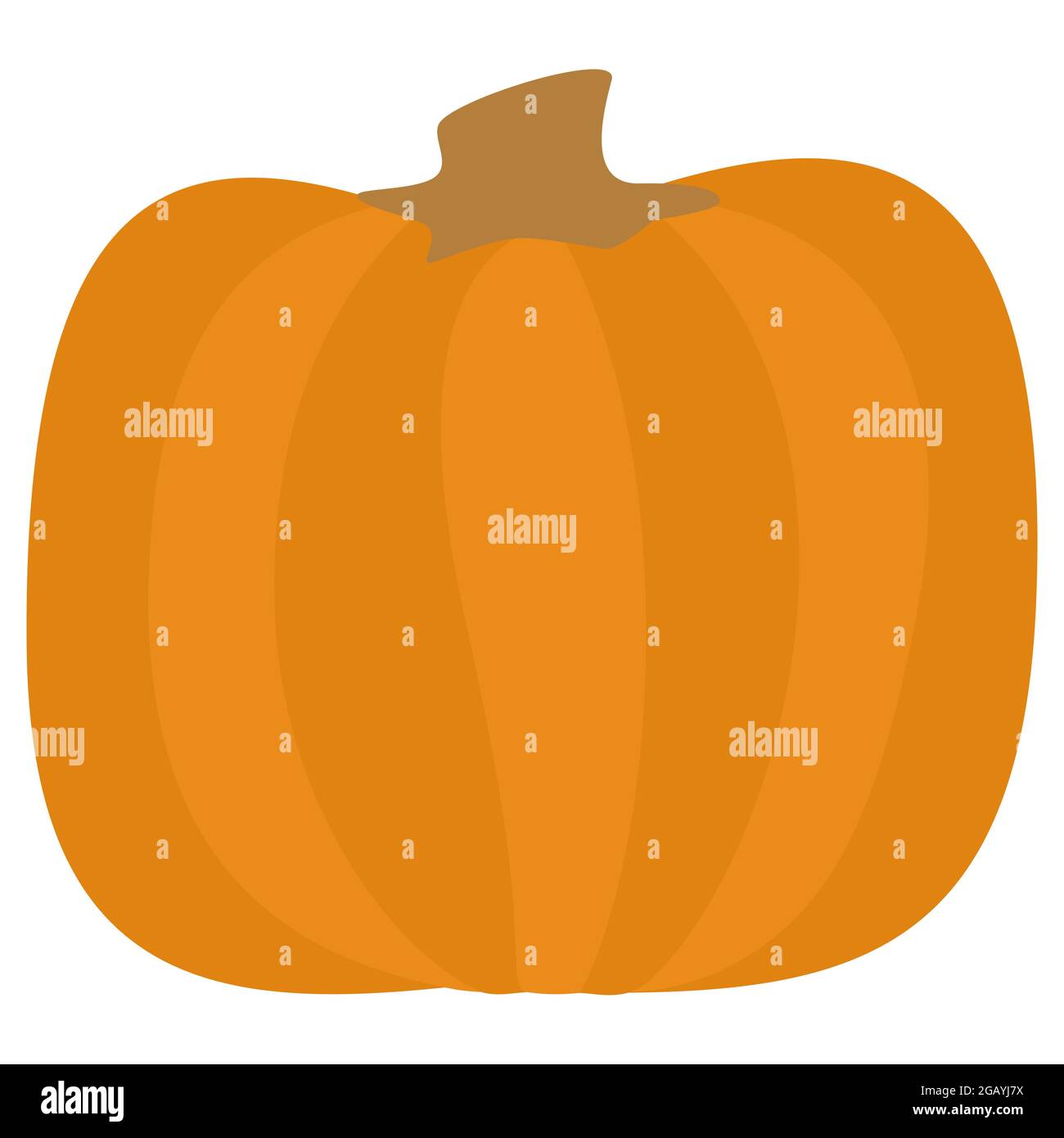 Zucca arancione quadrata. Illustrazione vettoriale. Gourd per il giorno del Ringraziamento o il design di Halloween. Isolato su sfondo bianco Illustrazione Vettoriale