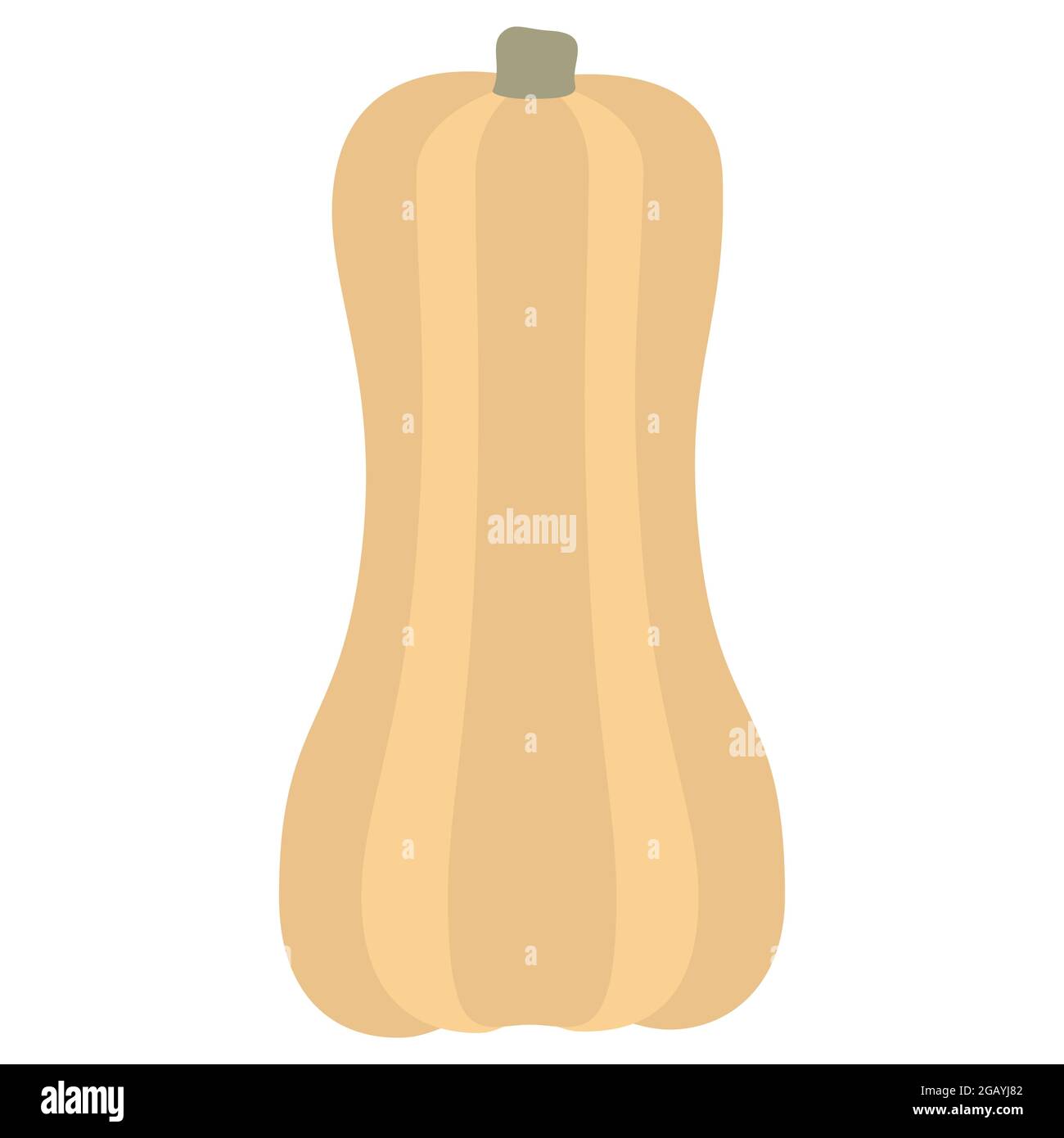 Long Pumpkin Gourd per il giorno del Ringraziamento o Halloween disegno vettore isolato illustrazione su sfondo bianco Illustrazione Vettoriale