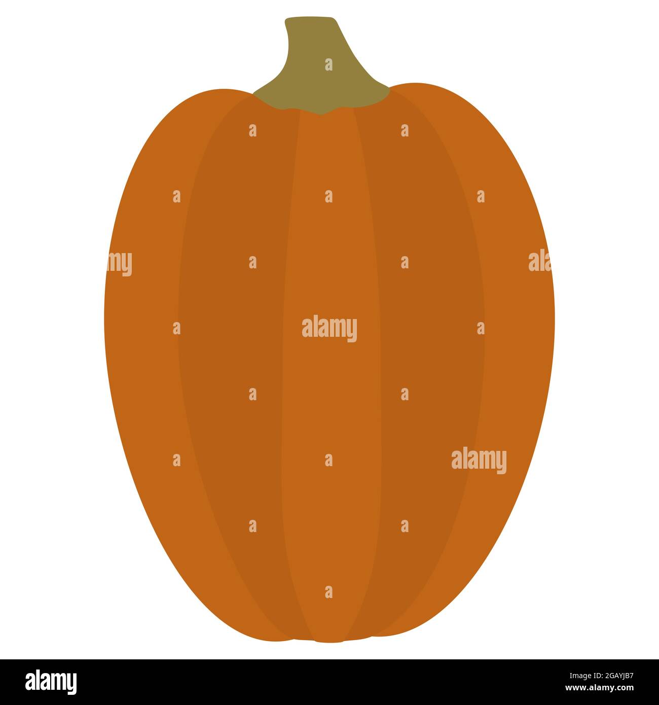 Illustrazione del vettore di zucca arancione. Gourd per il giorno del Ringraziamento o Halloween design isolato su sfondo bianco Illustrazione Vettoriale