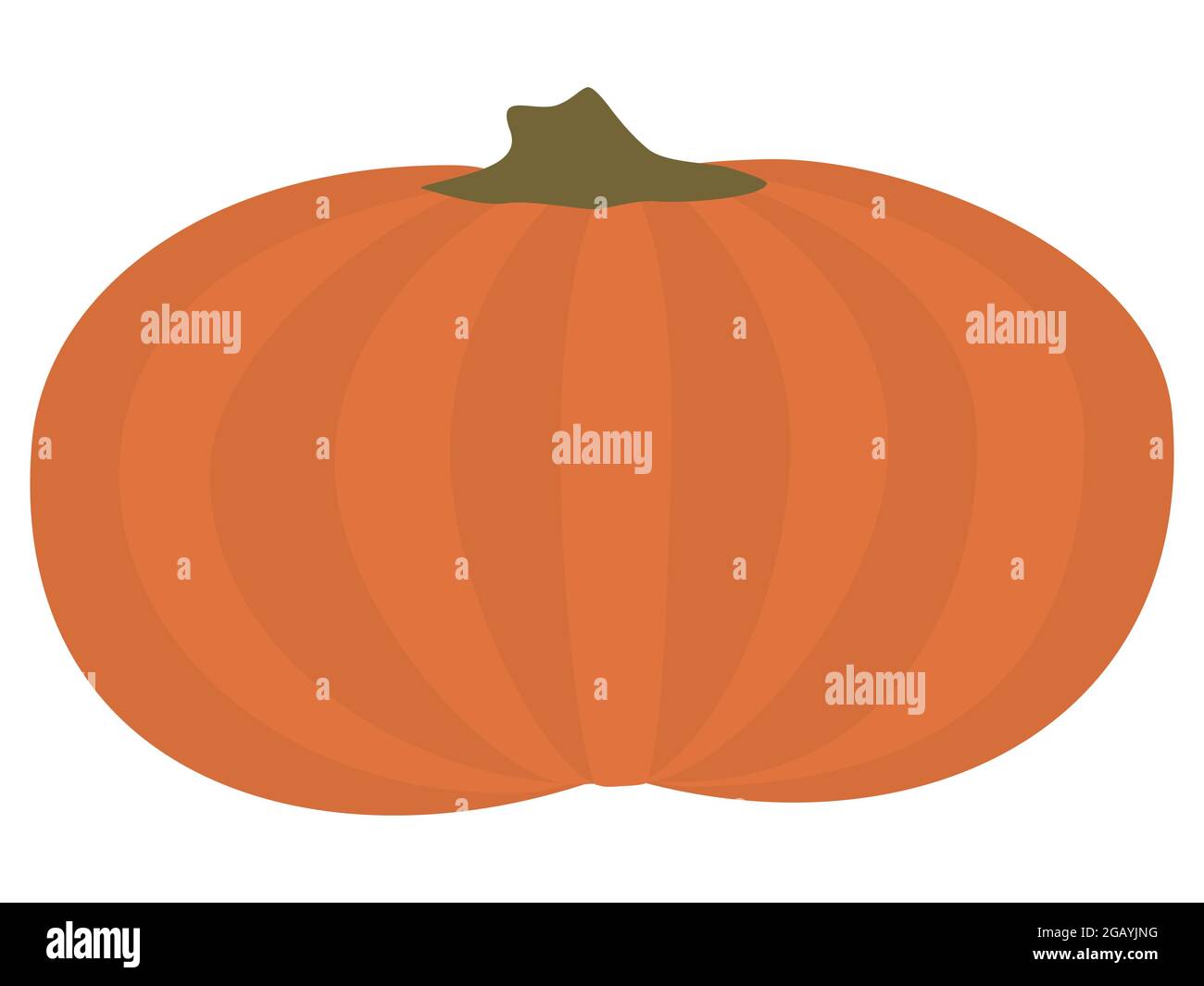 Illustrazione del vettore della zucca. Gourd per il giorno del Ringraziamento o il design di Halloween. Isolato su sfondo bianco Illustrazione Vettoriale