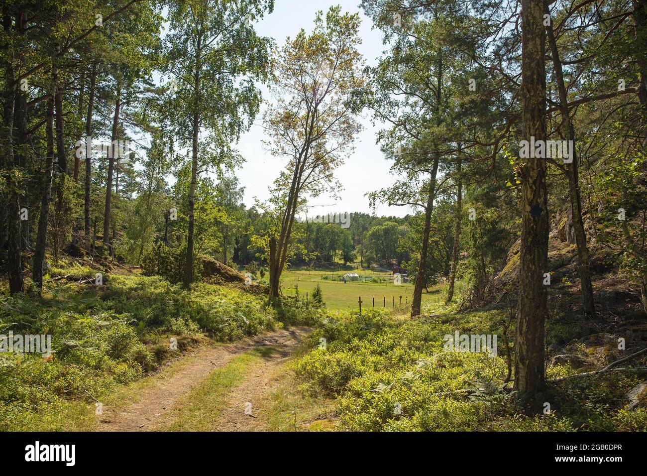 Grinda, arcipelago di Stoccolma Foto Stock
