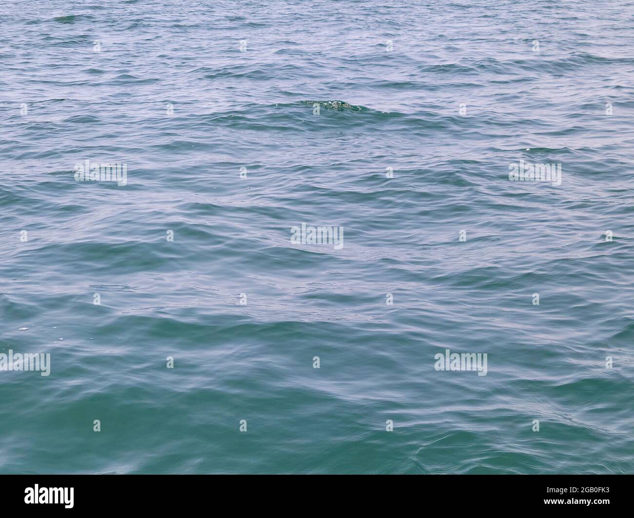 Calmare le acque del lago Michigan con onde basse Foto Stock