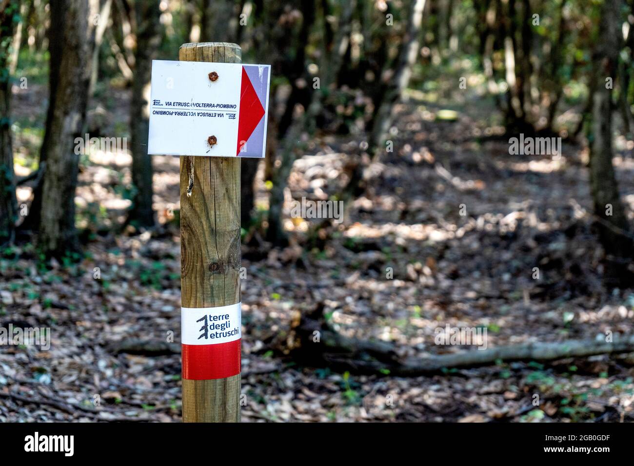 Cartello con il significato di 'terre etrusche' (Terre degli Etruschi) che indica il sentiero etrusco tra Volterra e Piombino, nei boschi di Baratti, Italia Foto Stock