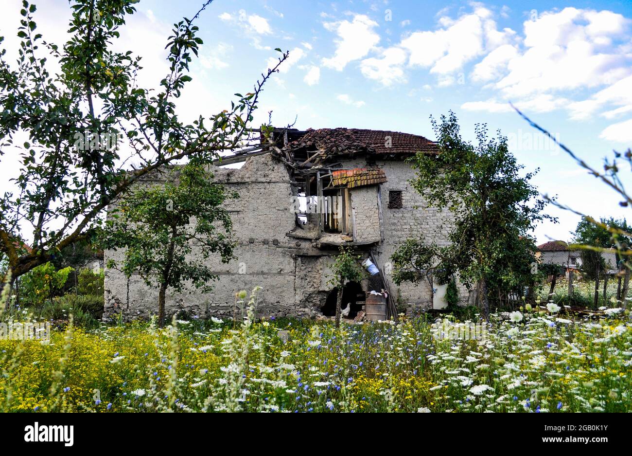 Una vecchia casa in rovina, intorno ad essa primavera mostra le sue bellezze. Foto Stock
