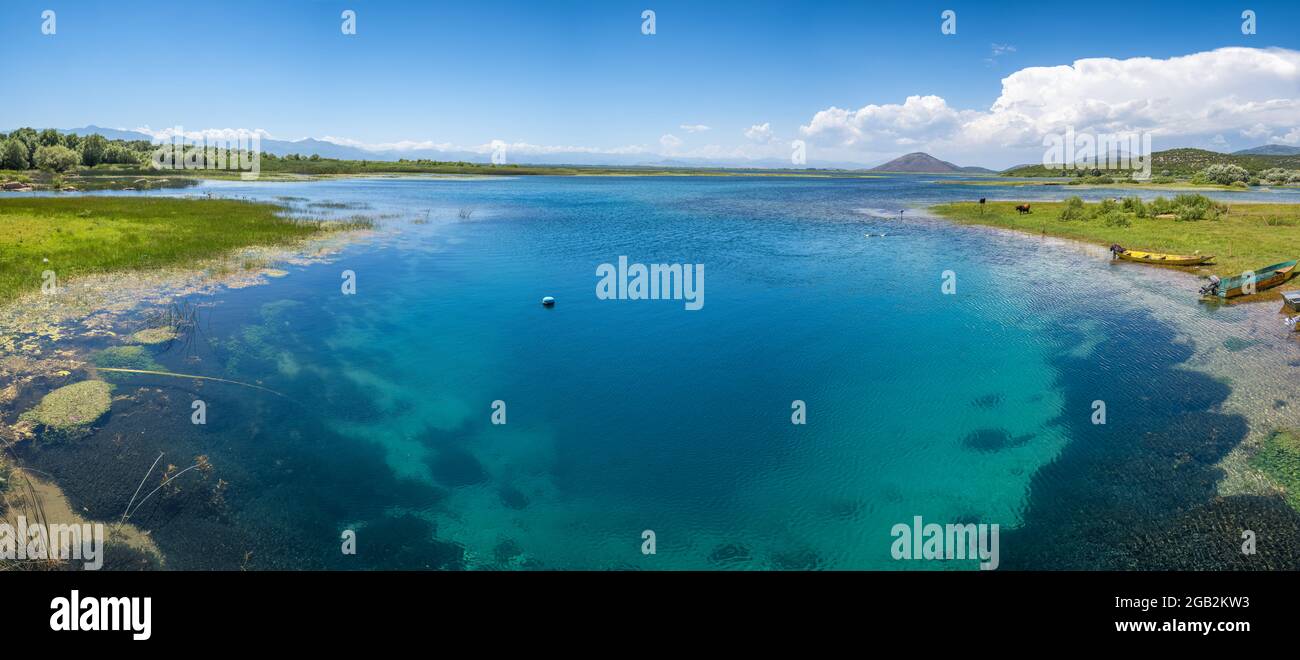 Acque cristalline del lago Skadar in Albania Foto Stock