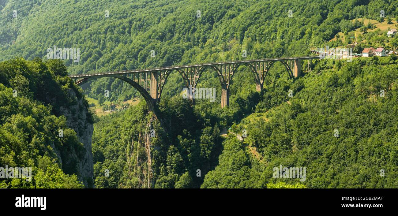 Djurdjevic Tara Ponte sul fiume Tara vicino alla città di Zabljak in Montenegro Foto Stock