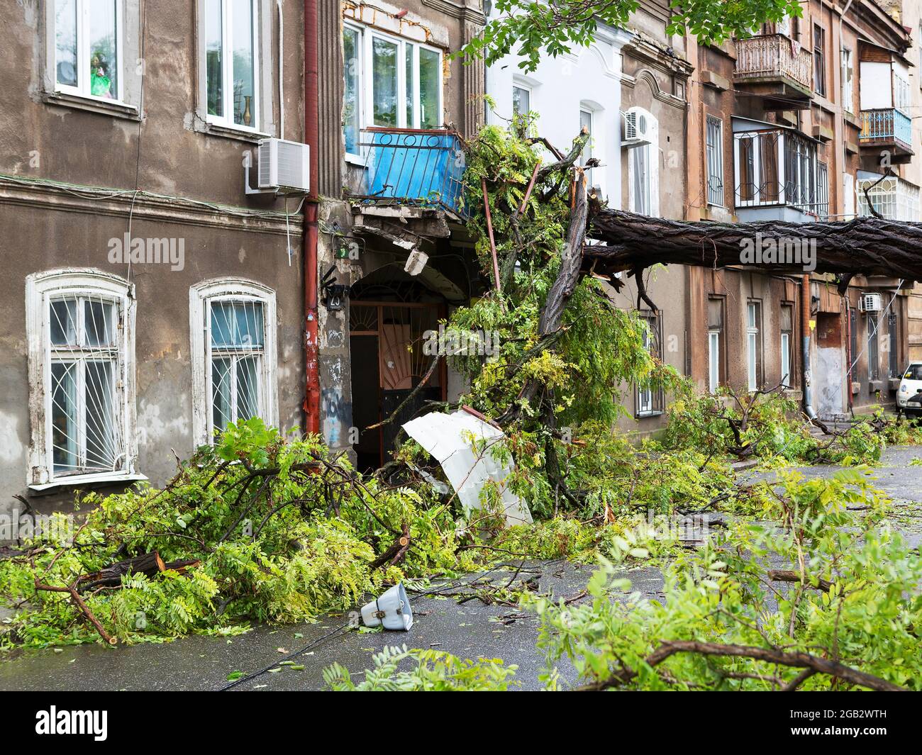 Uragano CHRISTIE. Pioggia pesante e Gale - forti raffiche di vento causato incidente - vecchio albero durante la tempesta cadde su auto e distrusse casa. forte tempesta wi Foto Stock