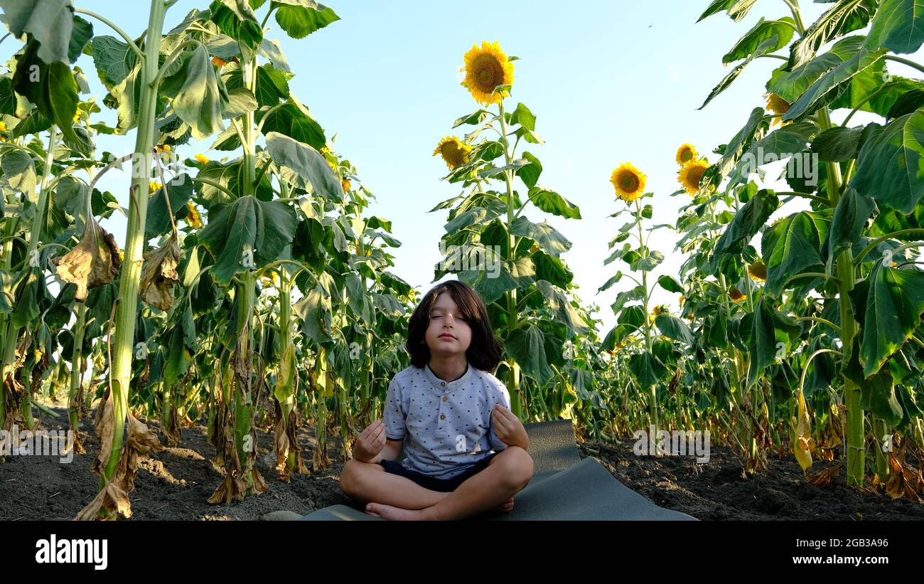 Un bel ragazzo pratica la meditazione in un campo di girasoli. Foto Stock