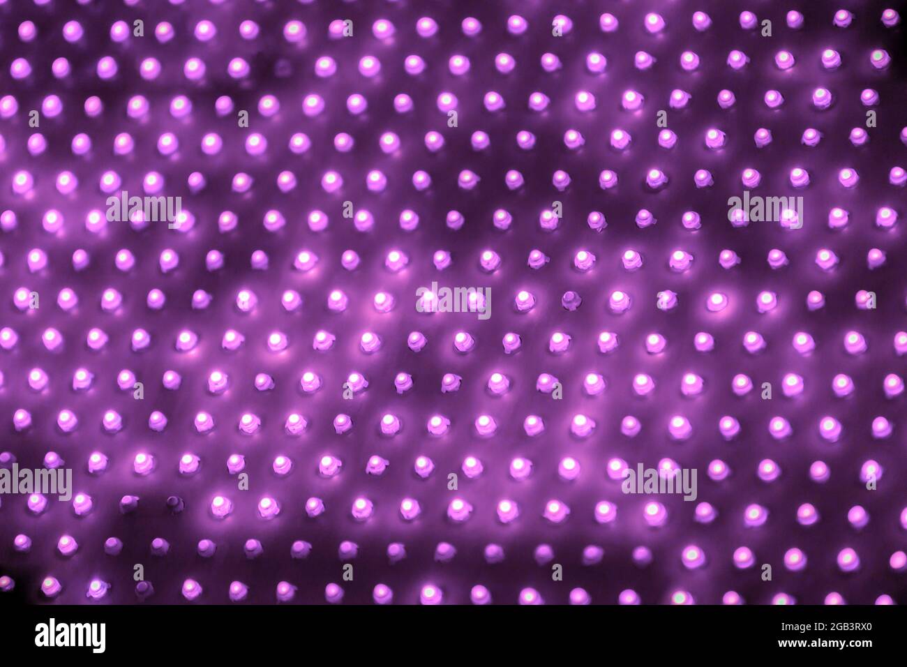 pannello a led viola per esterni economico con diodi singoli, vista ravvicinata a tutto il fotogramma con messa a fuoco selettiva. Foto Stock