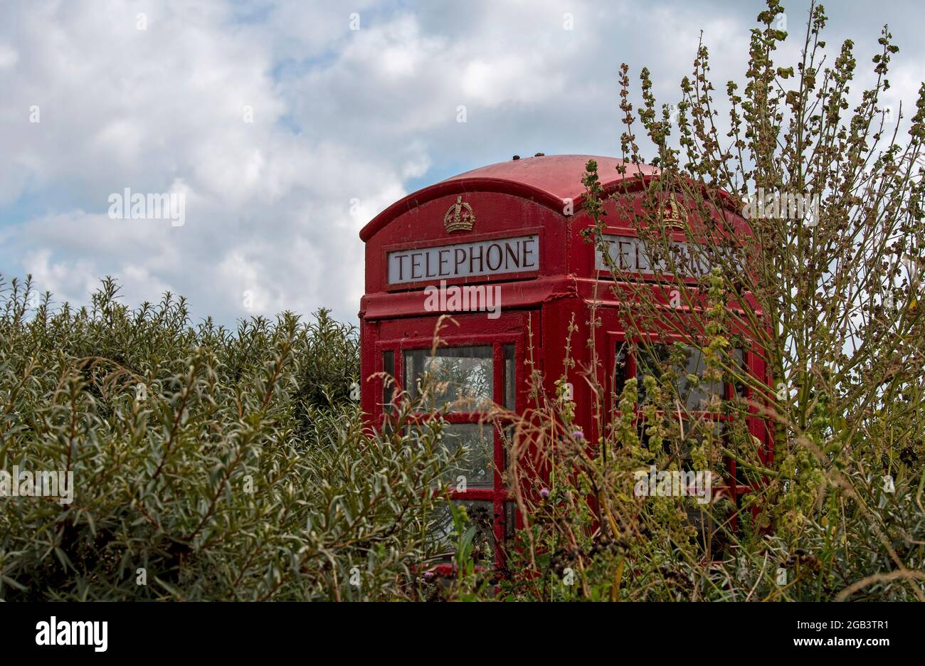 Bigbury on Sea, Devon, Inghilterra, Regno Unito. 2021. Una scatola telefonica rossa su una strada costiera nel Devon meridionale, coperta di sottobosco. Foto Stock