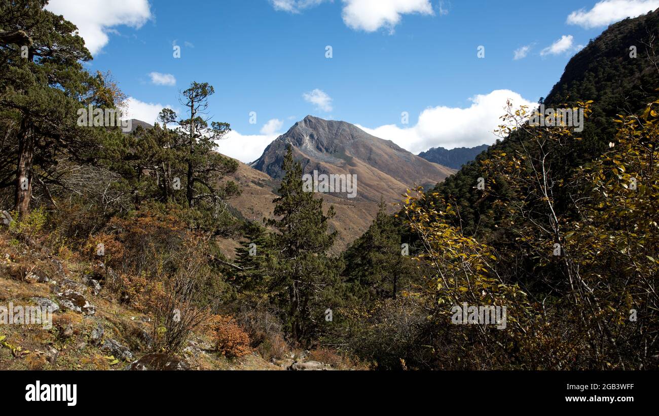 Trekking Bhutan Foto Stock