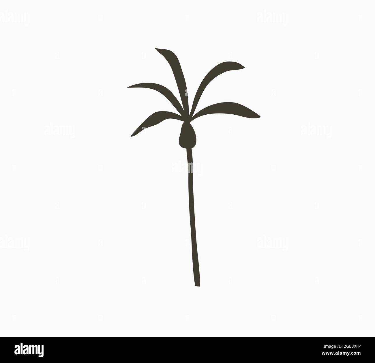 Cartoni animati estivi disegnati a mano vettoriali astratti, illustrazioni minimaliste, stampa di elementi con logo, con bella palma tropicale Illustrazione Vettoriale