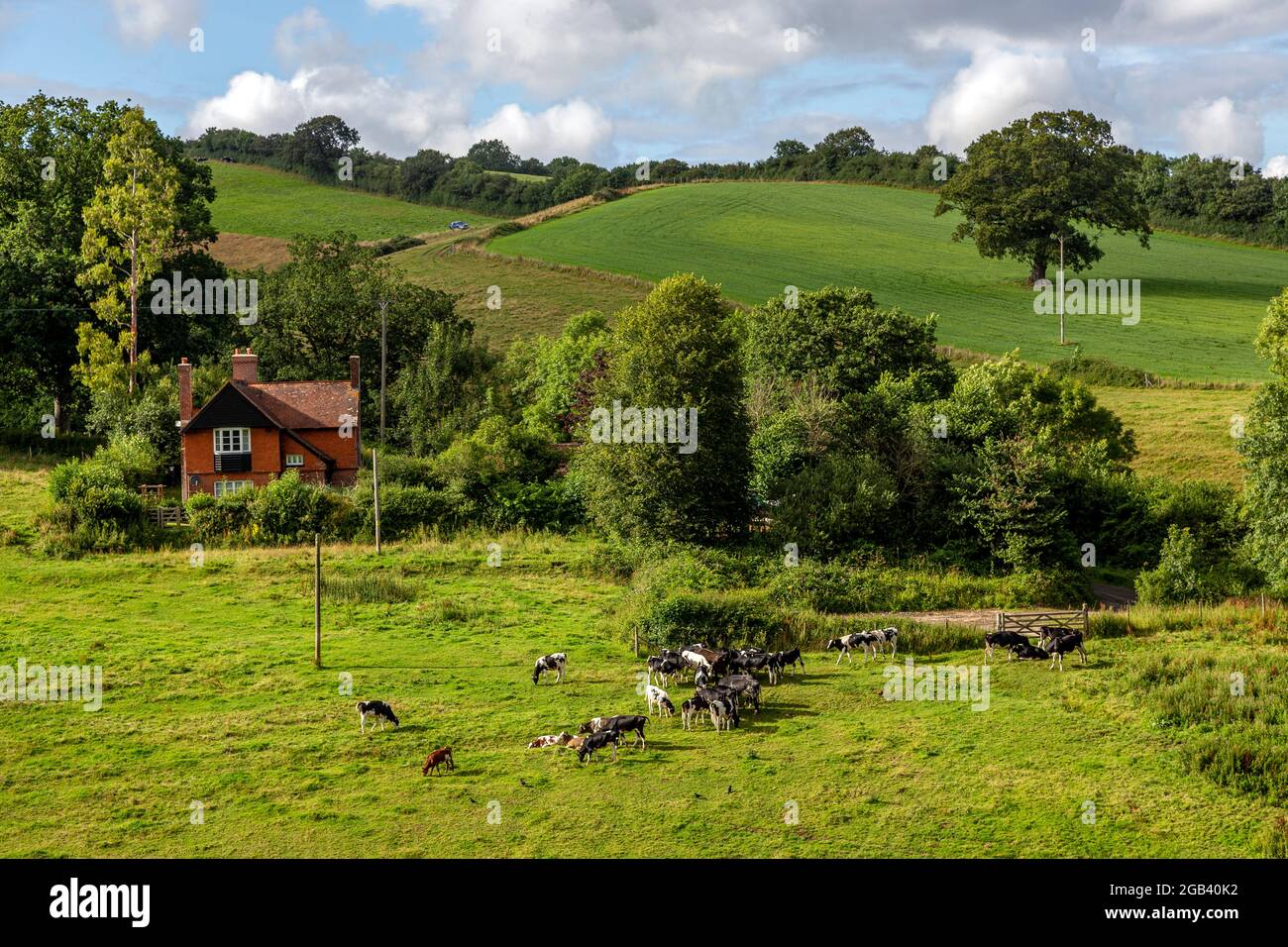 Campagna del Devon, agricoltura, fattoria del Devon, devon, inghilterra, fattoria, orizzontale, Foto Stock