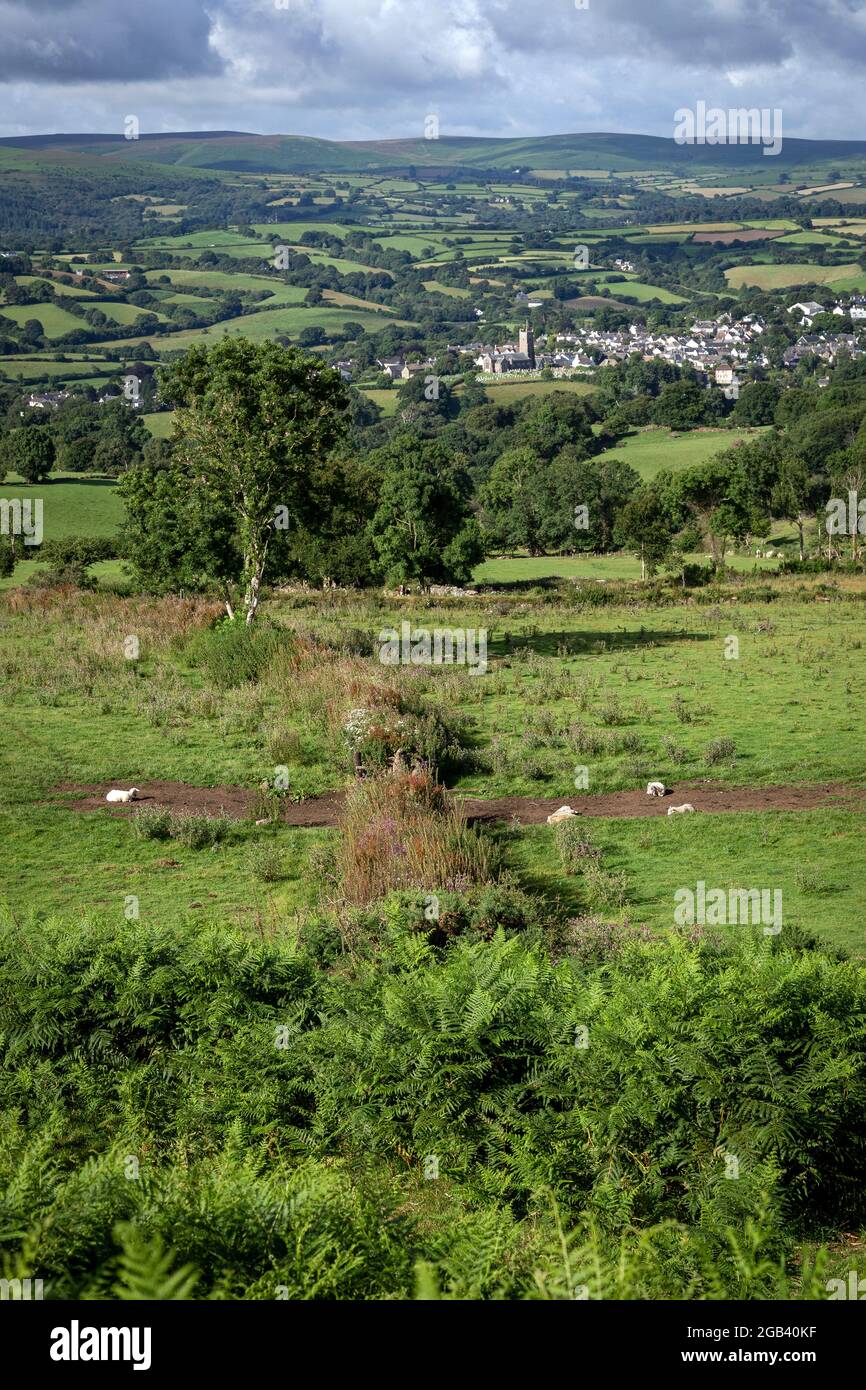 Campagna del Devon, agricoltura, fattoria del Devon, devon, inghilterra, fattoria, orizzontale, Foto Stock