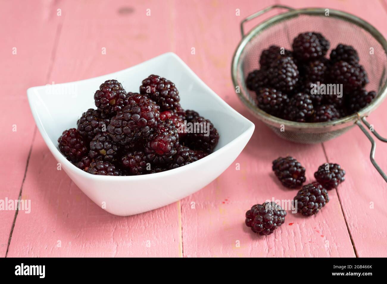 Una ciotola di frutti di bosco appena raccolti su un tavolo rosa. Foto Stock