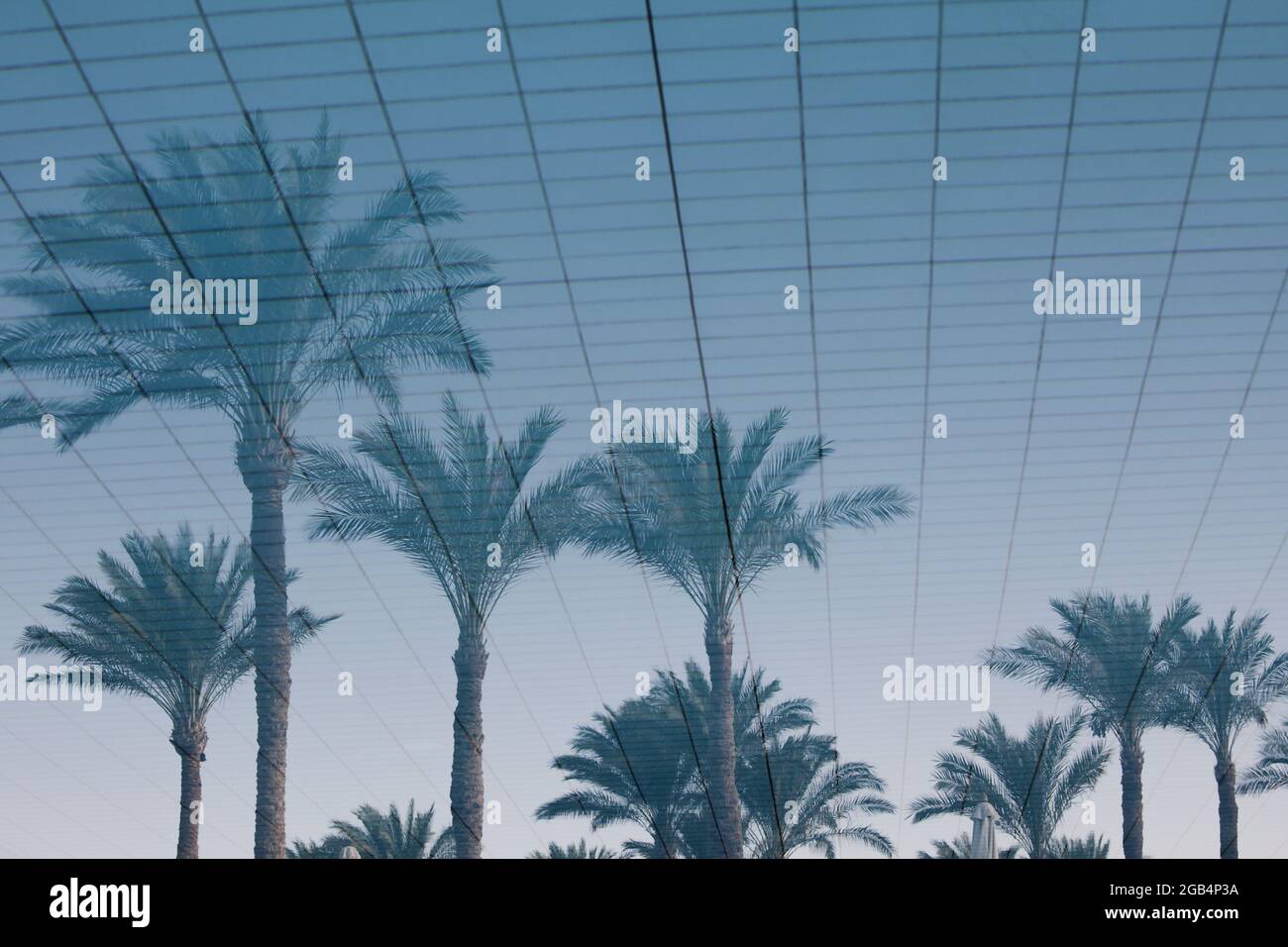 Riflesso di palme in acqua blu in piscina. Estate tropicale natura sfondo astratto Foto Stock