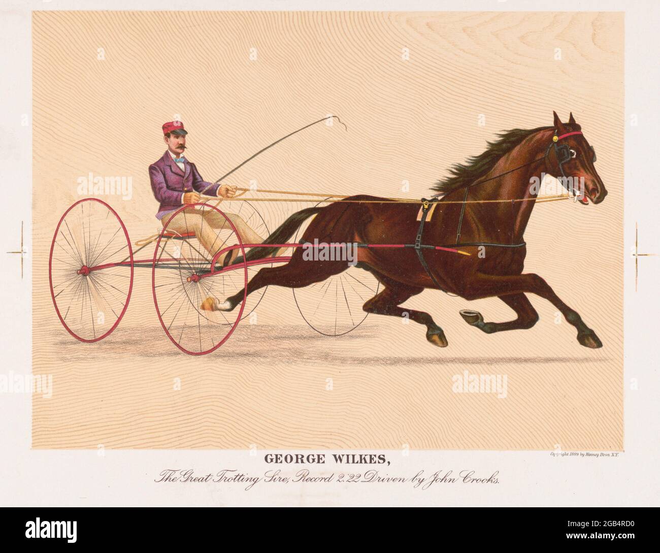 George Wilkes il grande sire trotting Foto Stock