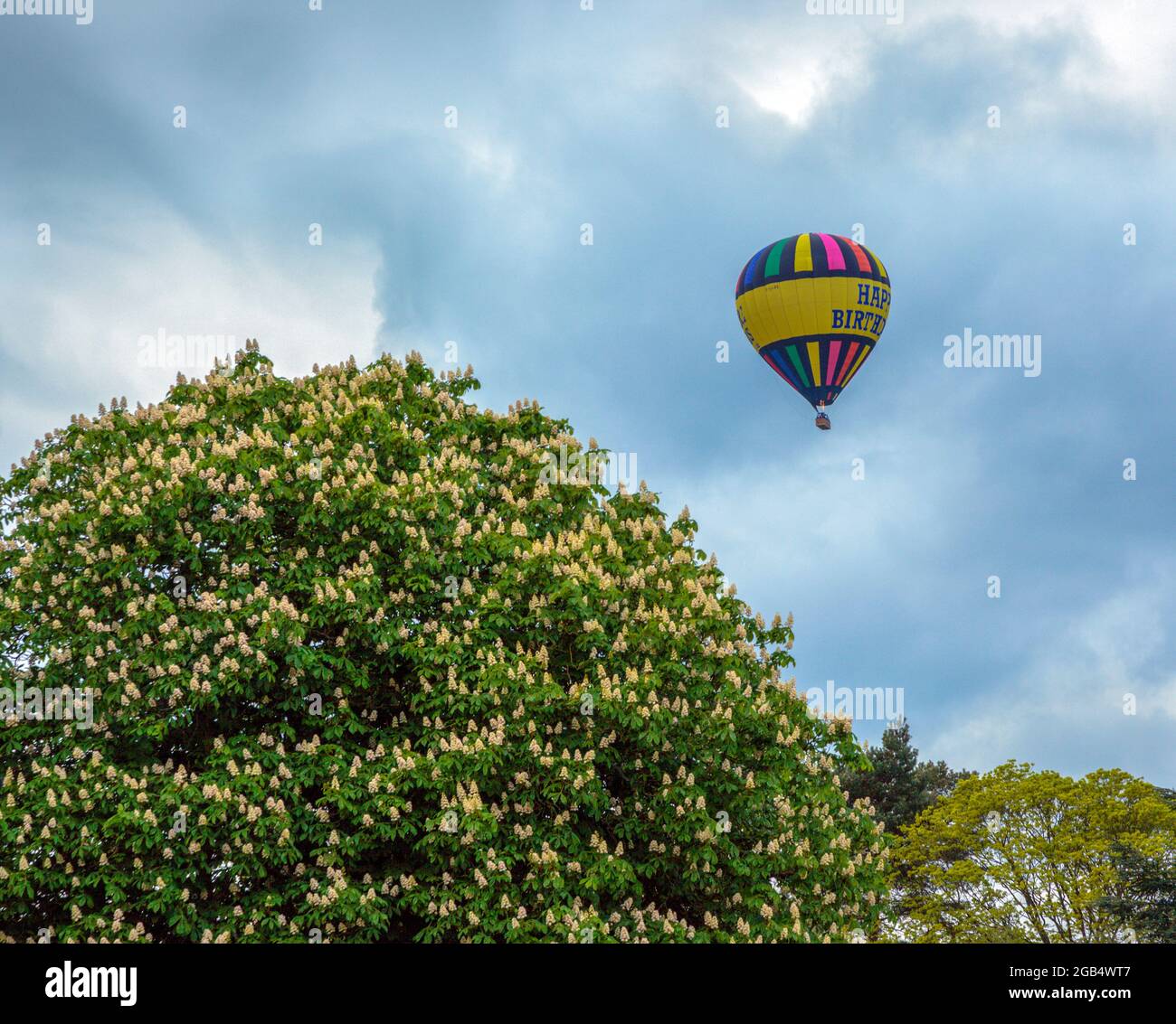 Mongolfiera sulle Chiltern Hills Foto Stock