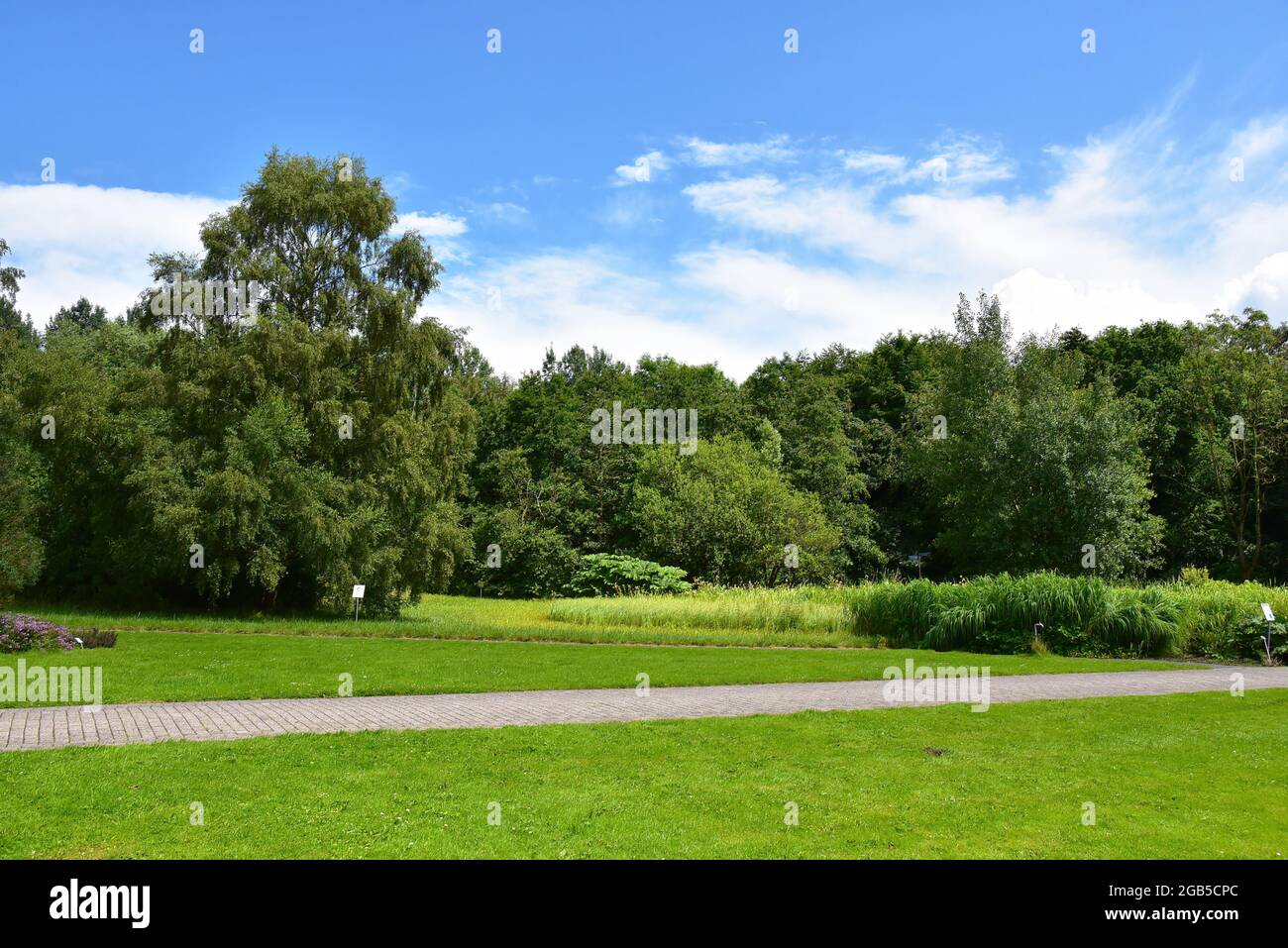 Il bellissimo parco pubblico nel giardino botanico della città di Kiel è composto da numerosi alberi e piante. Preso in, Kiel. Germania il 13 luglio 2016 Foto Stock