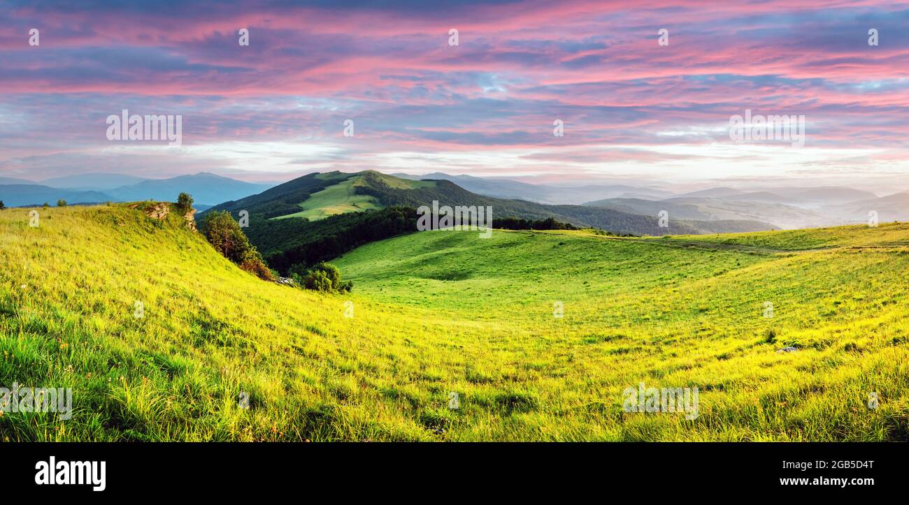 Scena incredibile in montagna d'estate. Prati verdi e lussureggianti in una fantastica luce del sole serale. Carpazi, Europa. Fotografia di paesaggio Foto Stock