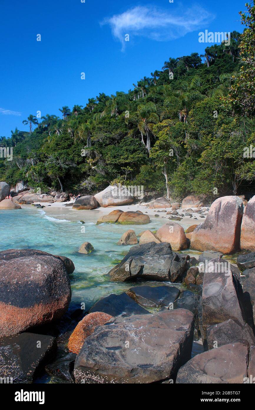 ILHA DO CAMPECHE, FLORIANOPOLIS, SANTA CATARINA, BRASILE - 23 MARZO 2012: Bella vista su una spiaggia principale dell'isola di Campeche. Foto Stock