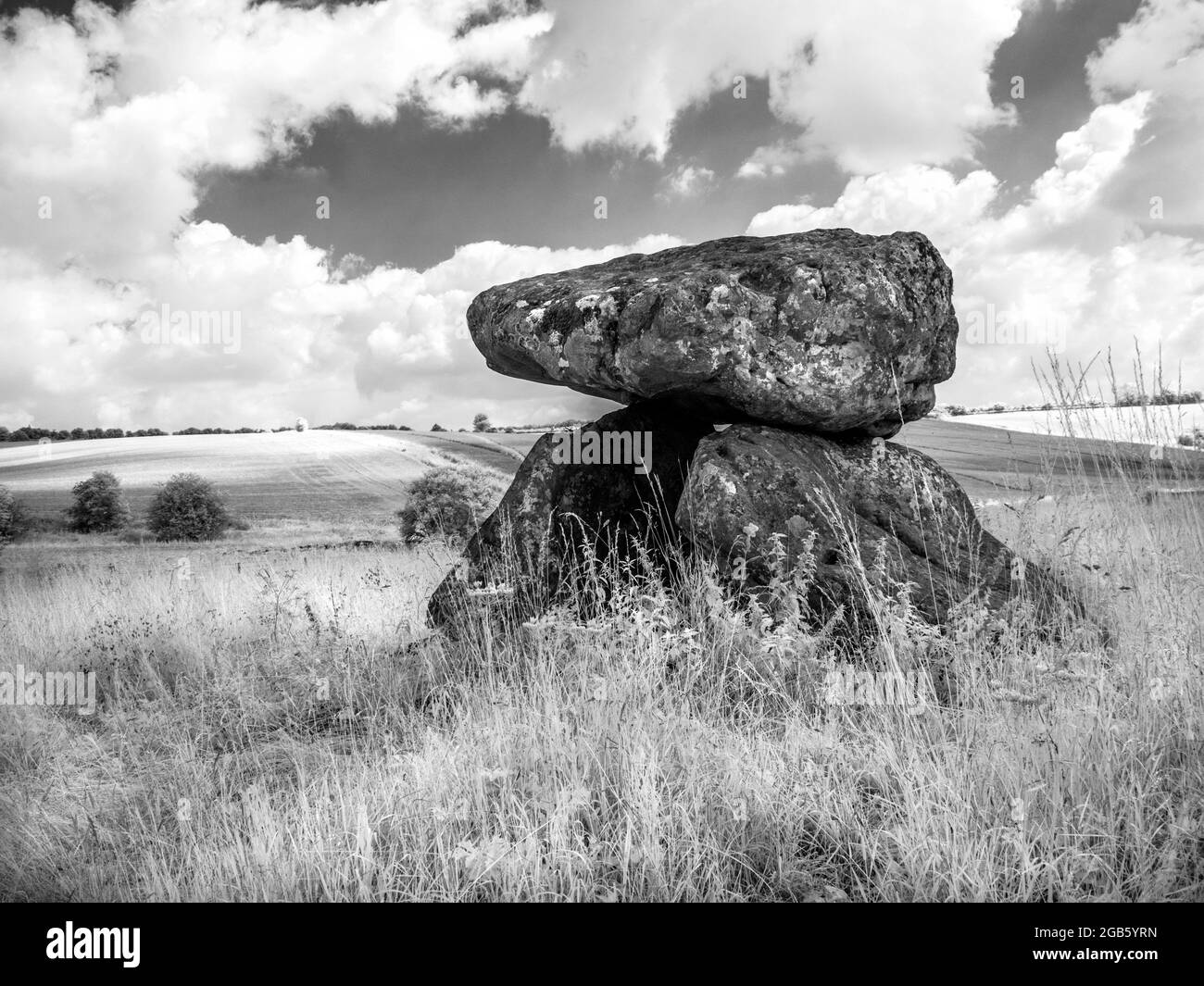 Il Devil's Den vicino a Marlborough nel Wiltshire, sparato a infrarossi. Foto Stock