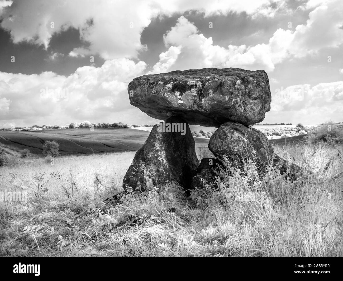 Il Devil's Den vicino a Marlborough nel Wiltshire, sparato a infrarossi. Foto Stock