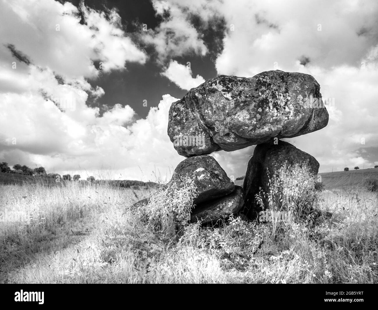 Il Devil's Den vicino a Marlborough nel Wiltshire, sparato a infrarossi. Foto Stock