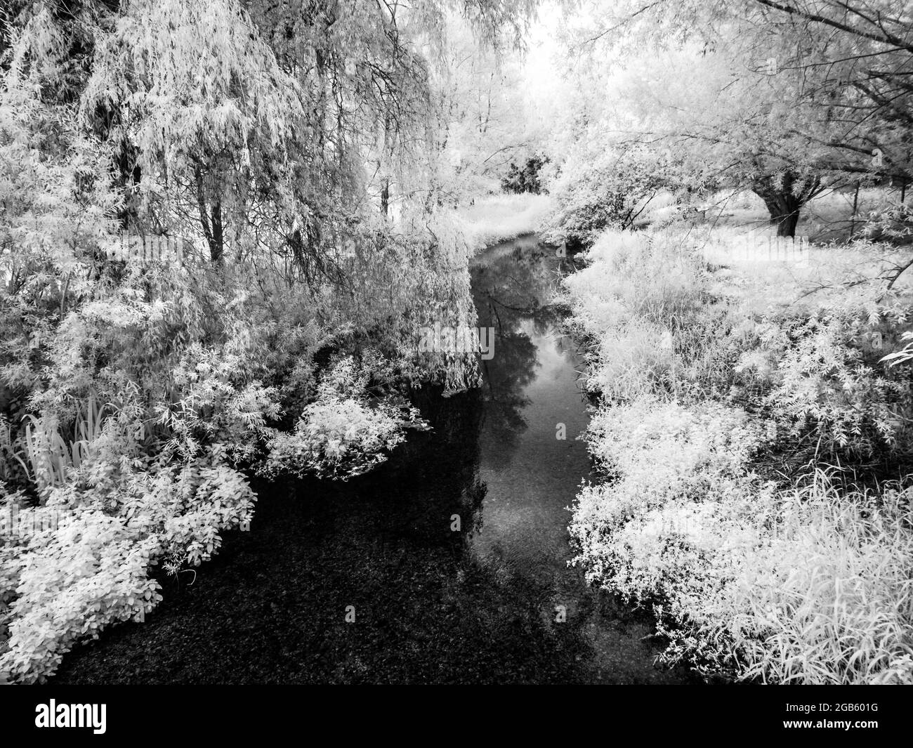 Il fiume Kennett vicino a Marlborough nel Wiltshire, sparato a infrarossi. Foto Stock