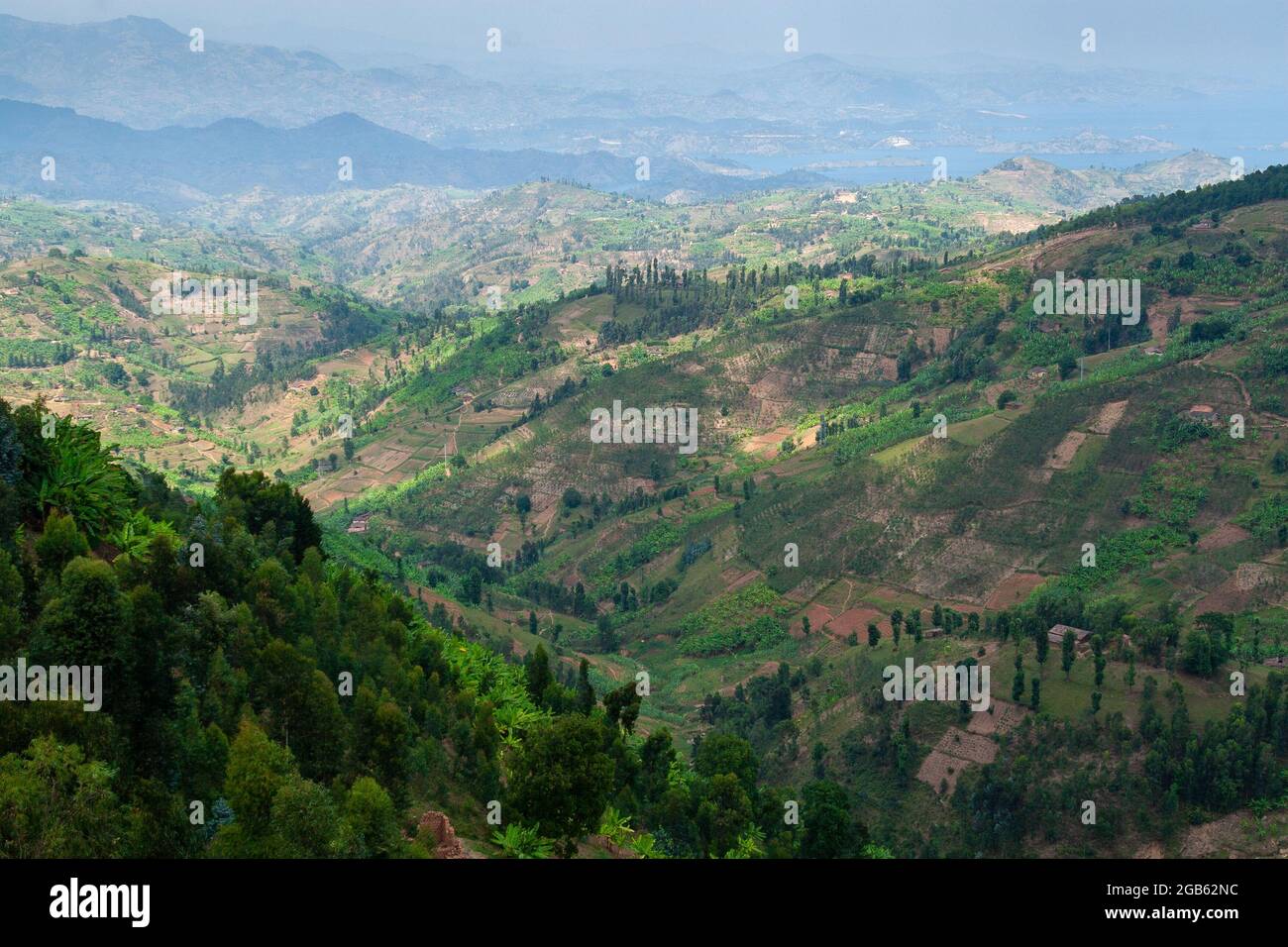 ruanda terra di migliaia colline verde paesaggio Foto Stock