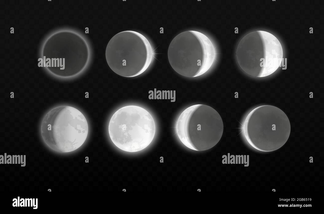 Eclissi lunari, infografica astronomica a fasi diverse. Eclissi lunare ciclo completo su sfondo scientifico trasparente, luce di luna realistica in fasi Illustrazione Vettoriale