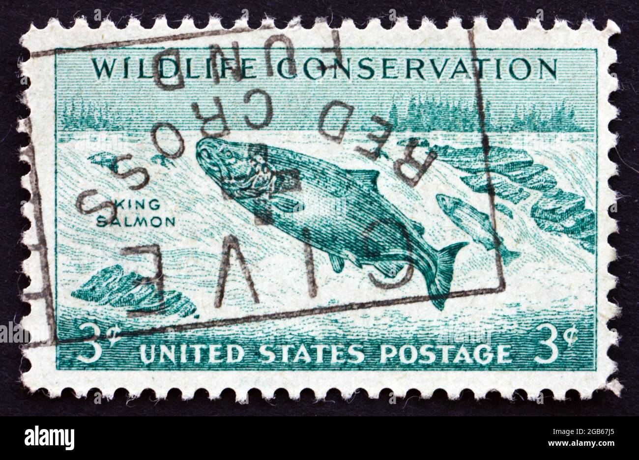 STATI UNITI D'AMERICA - CIRCA 1956: Un francobollo stampato negli Stati Uniti mostra King Salmon Fish, Oncorhynchus Tshawytscha, Wildlife Conservation, circa 1956 Foto Stock STATI UNITI D'AMERICA - CIRCA 1956: Un francobollo stampato negli Stati Uniti mostra King Salmon Fish, Oncorhynchus Tshawytscha, Wildlife Conservation, circa 1956 Foto Stock