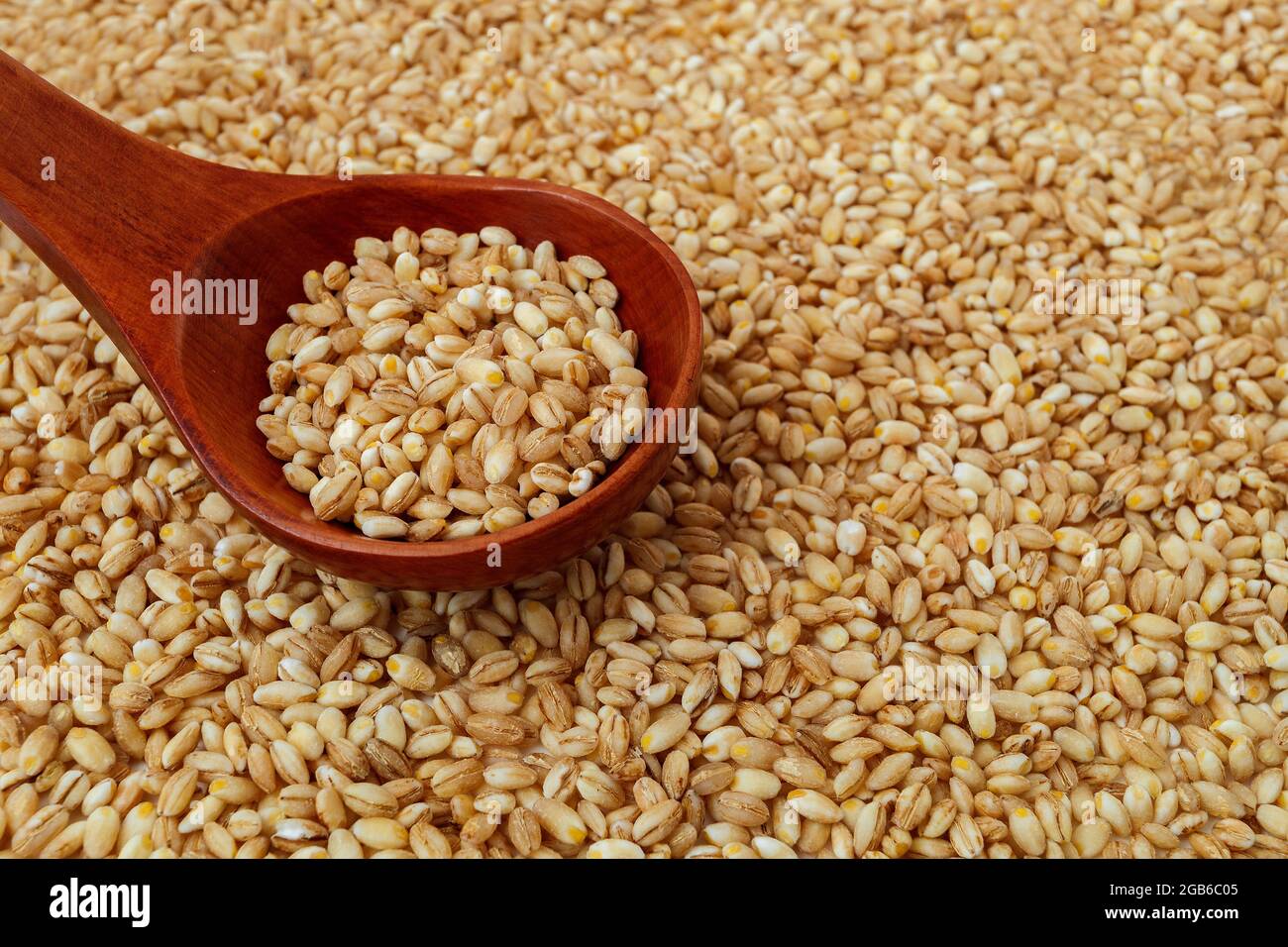 cucchiaio di legno con orzo perlato su fondo grana perla Foto Stock