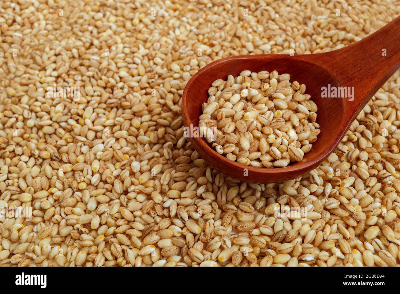 cucchiaio di legno con orzo perlato su fondo grana perla Foto Stock