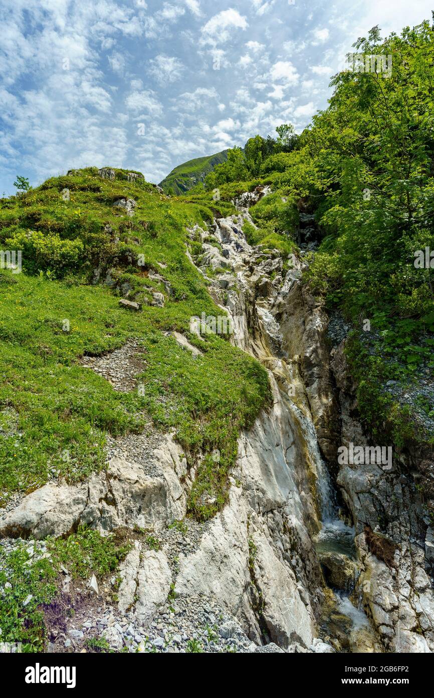 wilder Bach in den Bergen vom Grosswalsertal, an der Roten Wand, fliesst durch blumenübersäte Alpwiesen den Steilen Abhang hinunter. Alpenrosen Foto Stock