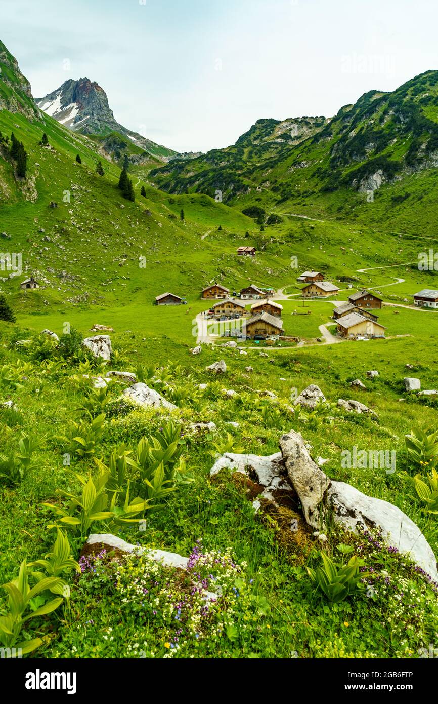 alpine Weiden an steilen Berghängen, mit Steinen und Blumen übersäht. Bergtal mit Wiesen und schroffen Felswänden. Klesenzaalpe, Grosswalsertal Foto Stock