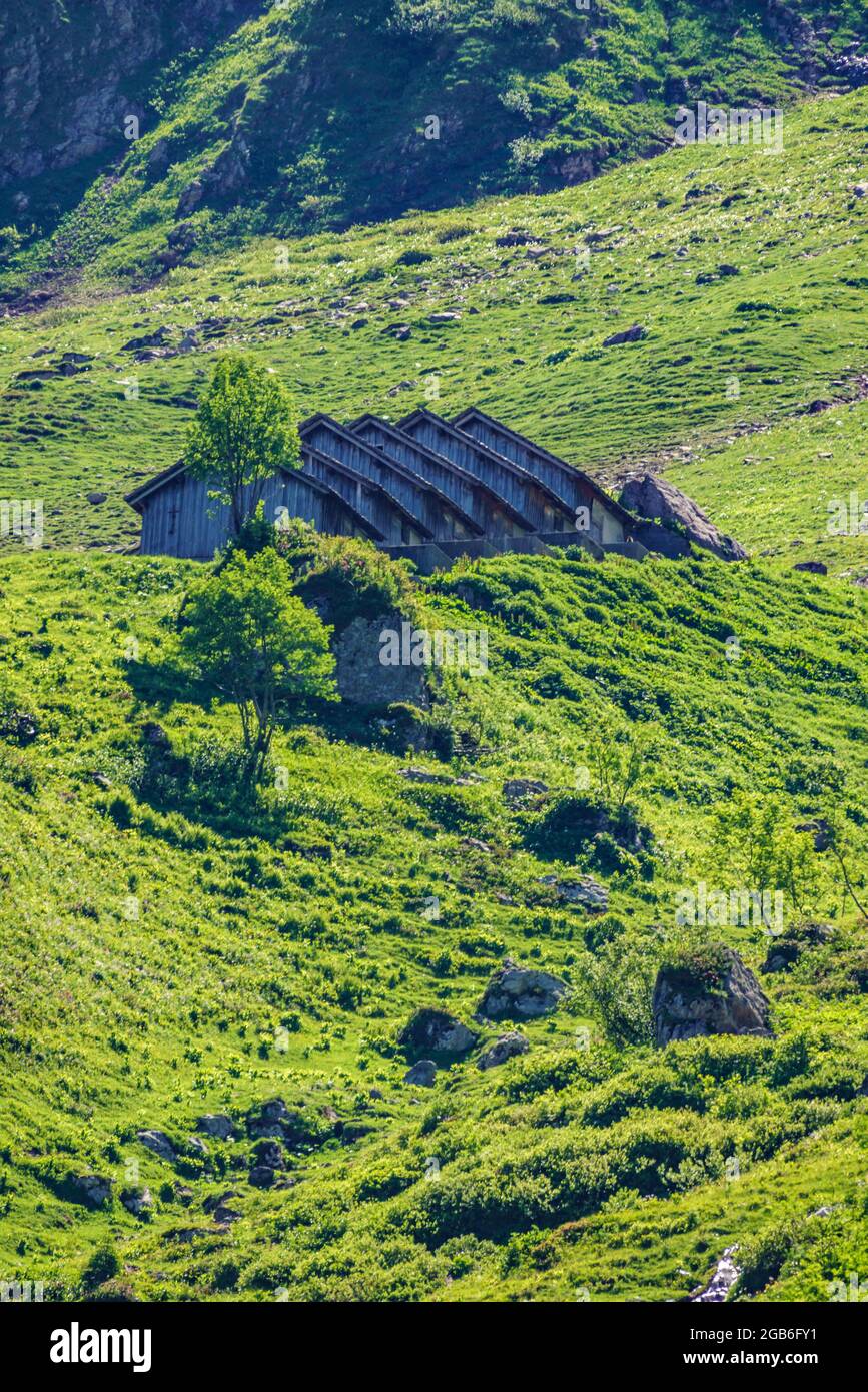 Abgestufte Alphütten der Klesenzaalpe. Am Steilhang der Roten Wand sind die Ziegenställe so gebaut, dass die Lawinen im Winter darüber hinweggleiten. Foto Stock