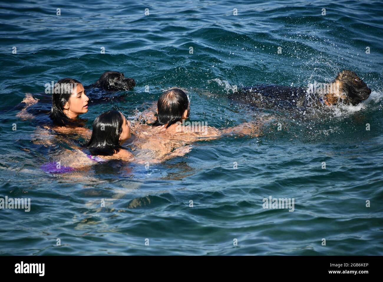 Istanbul, Turchia. 2 agosto 2021. La gente nuota in mare a Istanbul, Turchia, il 2 agosto 2021. La temperatura più alta di Istanbul ha superato i 34 gradi Celsius in questi giorni. Credit: Xu Suhui/Xinhua/Alamy Live News Foto Stock