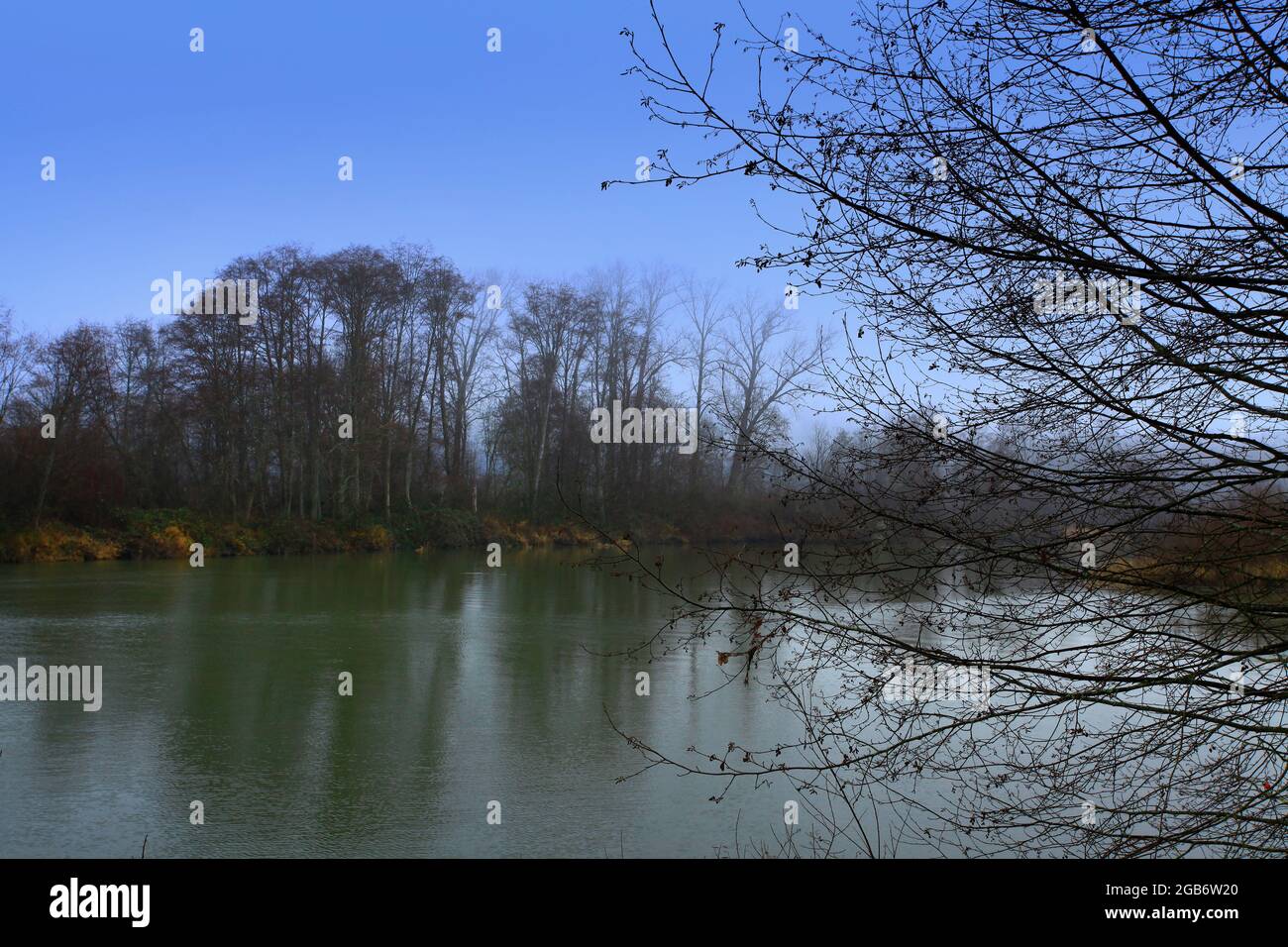 Un'immagine esterna di un fiume del Pacifico nord-occidentale Foto Stock