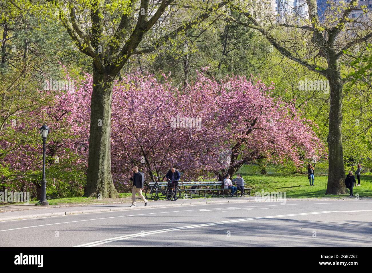 Le persone si siedono e si rilassano sulla panchina del Parco in Central Park tra Pandemic Foto Stock