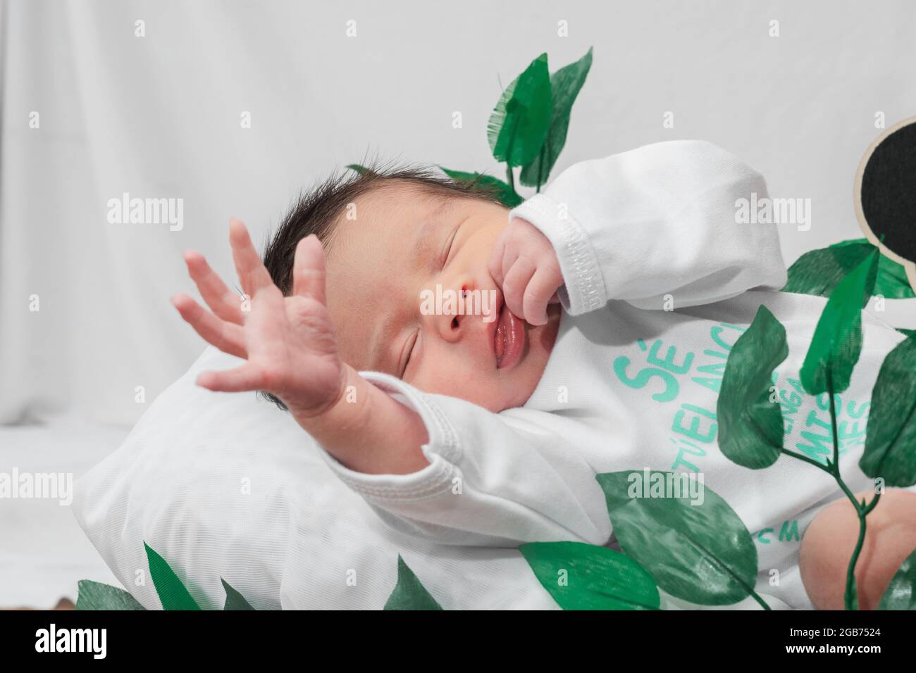 Bel neonato (4 giorni), addormentato con la mano sollevata, gesto di  pigrizia, in cesto di fibra di bambù e circondato da foglie verdi Foto  stock - Alamy