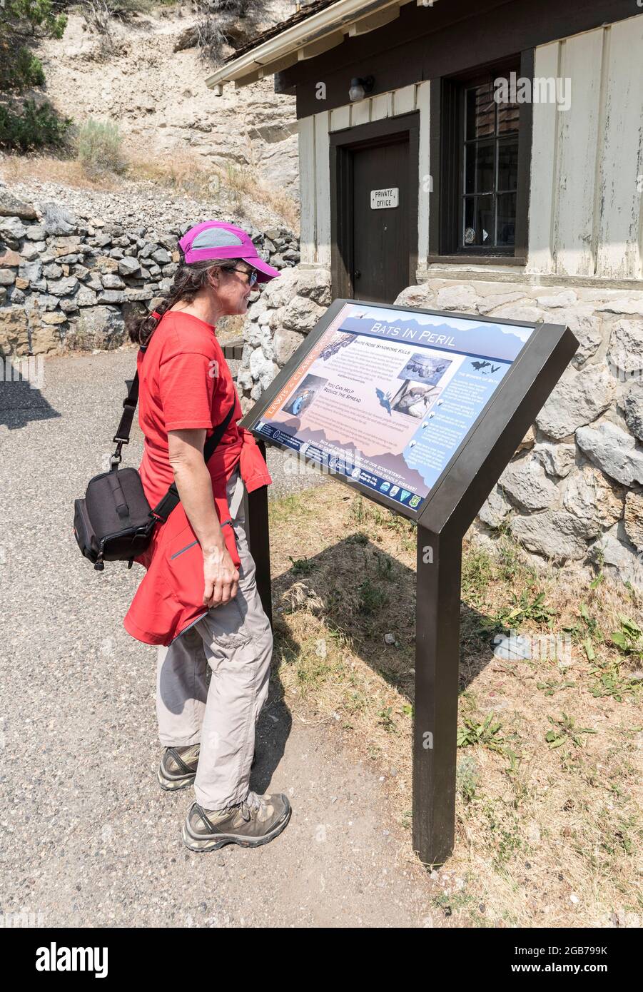 Donna che legge informazioni segno sui pipistrelli in pericolo e sindrome del naso bianco, Lewis e Clarke Caverns, Montana, USA Foto Stock