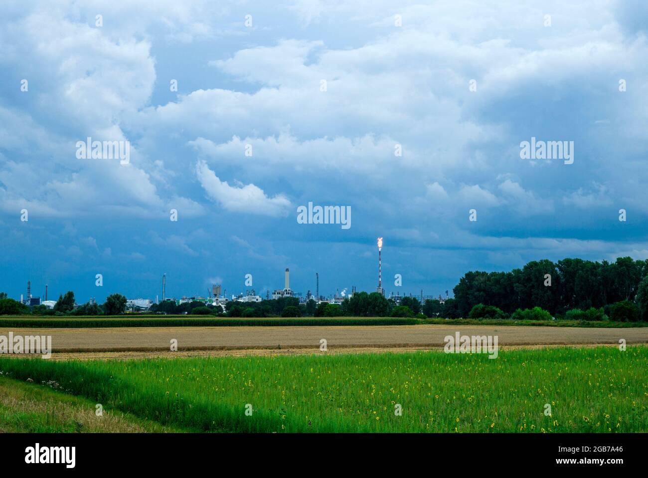 BASF Chemical Company: Impianto principale di Ludwigshafen contro i campi Foto Stock